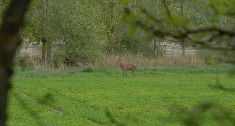 location de gites dans l'indre