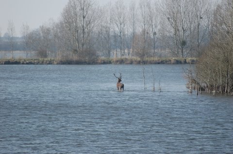 Gites des étangs dans l'Indre