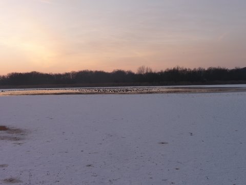 Locations Gites des étangs dans l'Indre